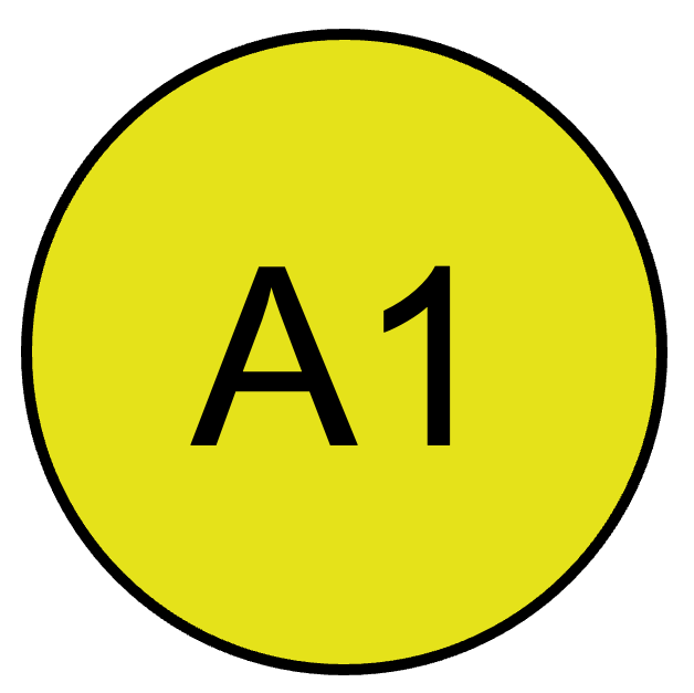 A1