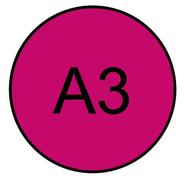 A3