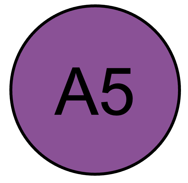 A5