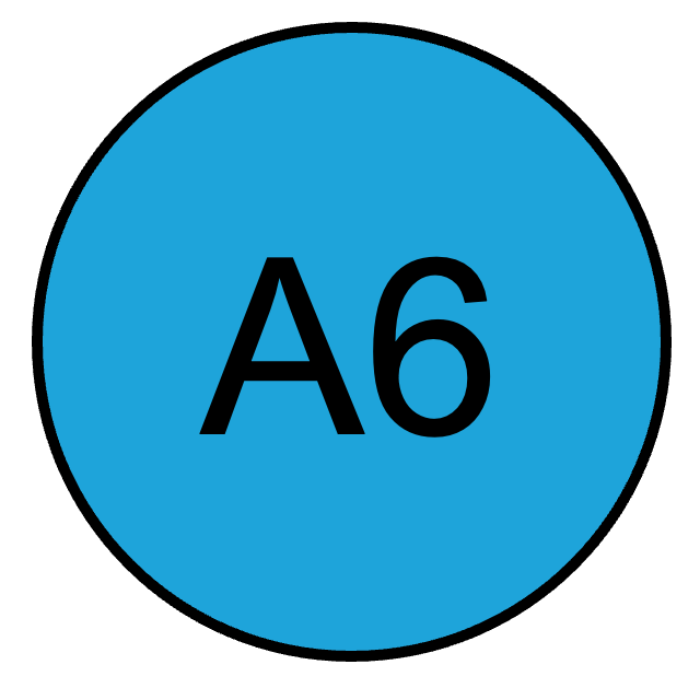 A6